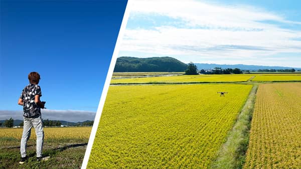 ナイルワークス　スマート農業共同体（SAc）の法人会員に　北海道の農業を応援