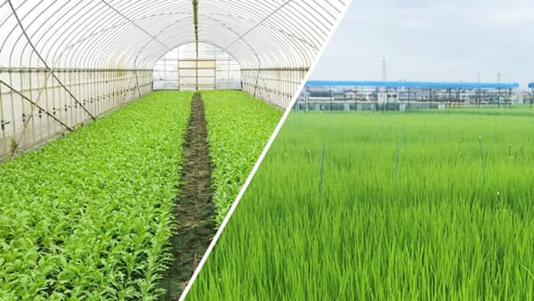 東大・クボタ・パナソニックHD、土壌微生物の機能制御・利用学に関する共同研究を開始