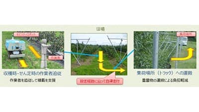 「おけさ柿」栽培の省力化へ自動走行運搬ロボット活用　実証実験開始　NSW