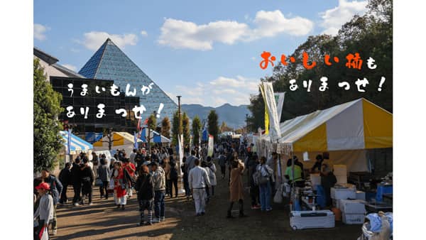 和歌山県橋本市「第18回まっせ・はしもと～柿まつり2024」開催