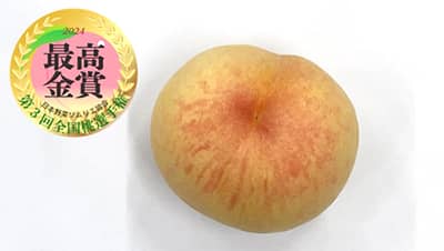 「第3回 全国桃選手権」最高金賞は和歌山県紀の川市「紀州白桃」　日本野菜ソムリエ協会