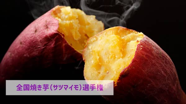 野菜ソムリエが選ぶ最もおいしい焼き芋・サツマイモ決定　日本野菜ソムリエ協会