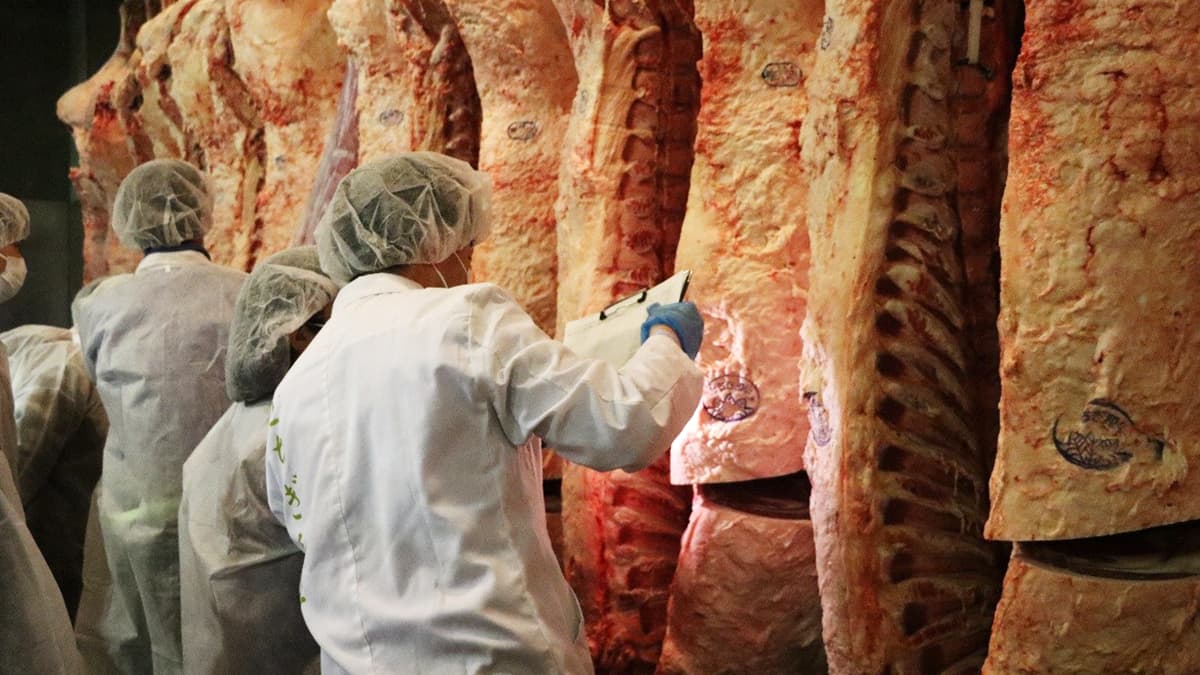 次世代の畜産業を担う若手が集結「栃木県後継者・高校・大学校肉牛枝肉研究会」開催　ＪＡ全農とちぎ