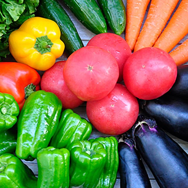 サステナ防除のすすめ2025