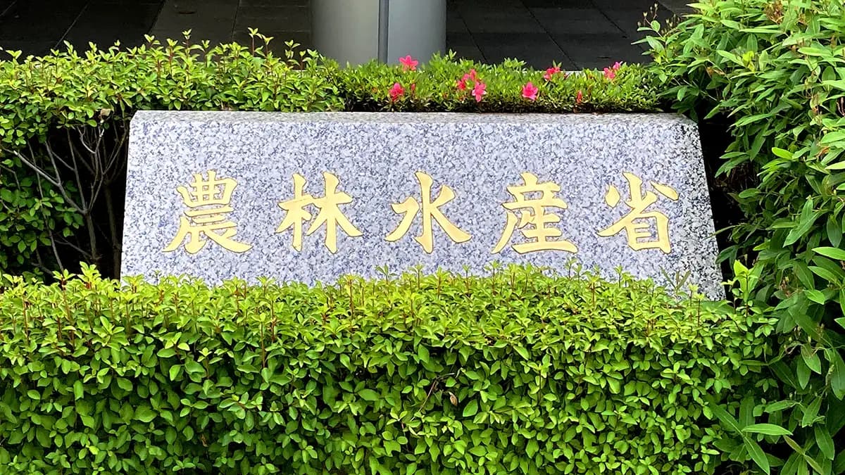 農水省、営農型太陽光発電の規制強化　「適切な営農継続」重視　市町村「特例」も