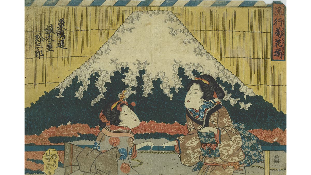 収蔵資料展「江戸園芸のメソッド　～江戸っ子たちの花めぐり～」18日から開催　東京都豊島区