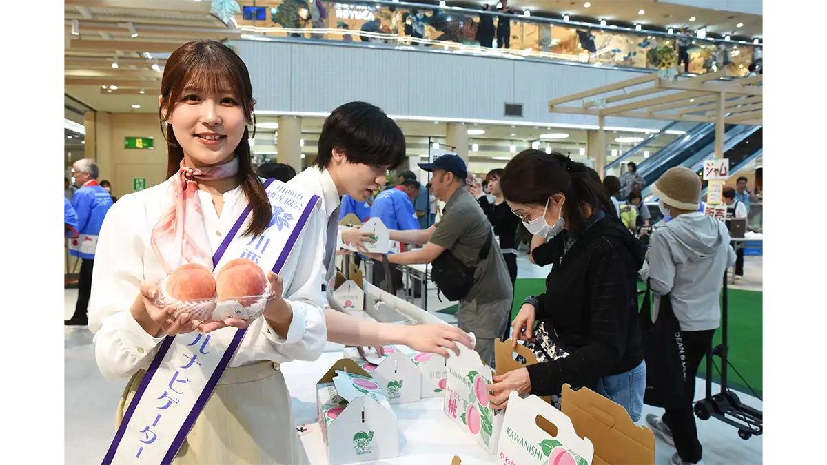 川西特産「早生桃」即売会　3600個が1時間で完売　兵庫県川西市