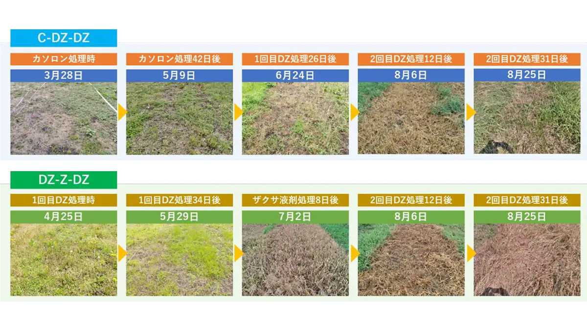 夏の水田除草にC-DZ作戦　北興化学工業が熱中症対策提案 3薬剤組み合わせ省力管理