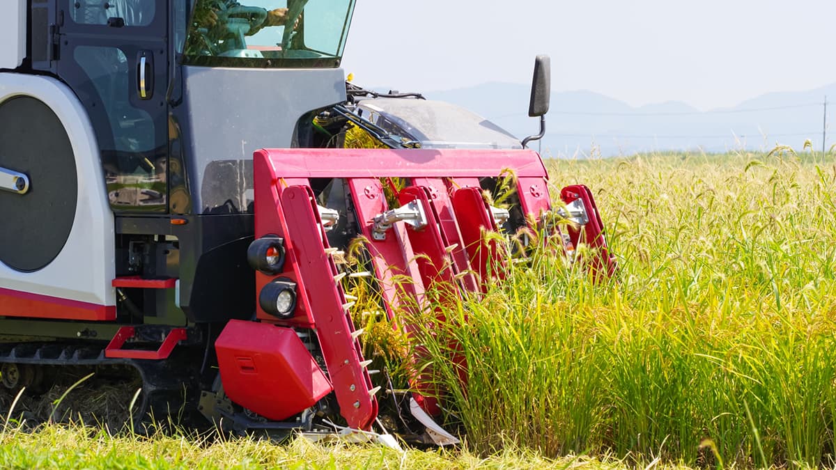 農薬の正しい使い方（79）土壌吸着（3）【今さら聞けない営農情報】第345回