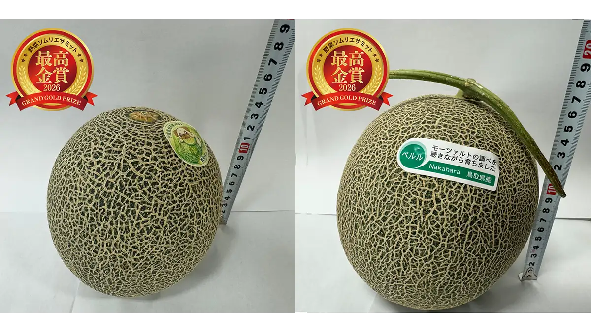 「野菜ソムリエサミット」6月度　青果部門最高金賞はメロン2品　日本野菜ソムリエ協会