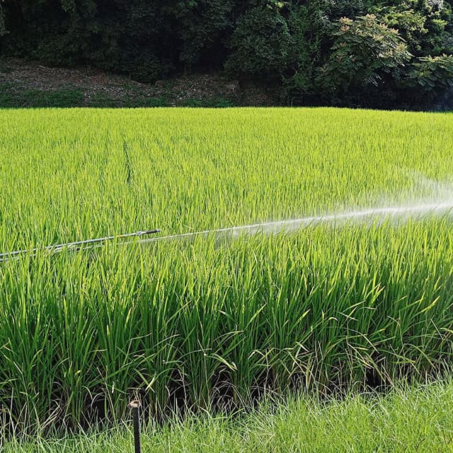 現場で役立つ農薬の基礎知識2016