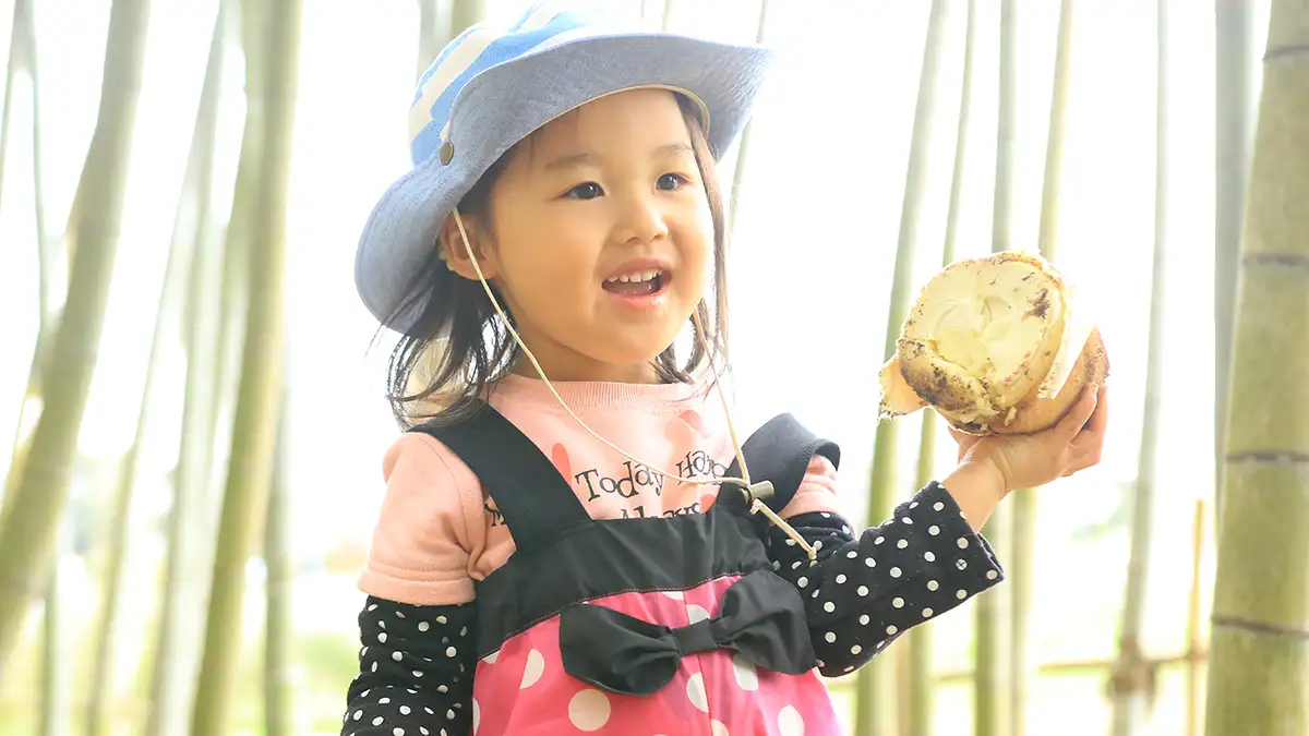 春限定「たけのこハント」開催　らぽっぽ なめがたファーマーズヴィレッジ