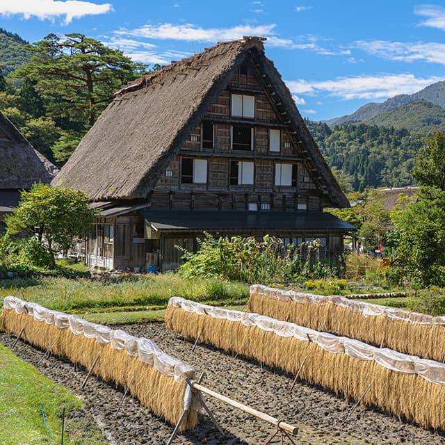 ほっとピックアップ【ＪＡの広報誌から】