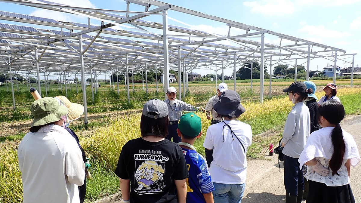 「遮光率30％規制」不適切　中小農家が使いやすい仕組みに　営農型太陽光発電で提言