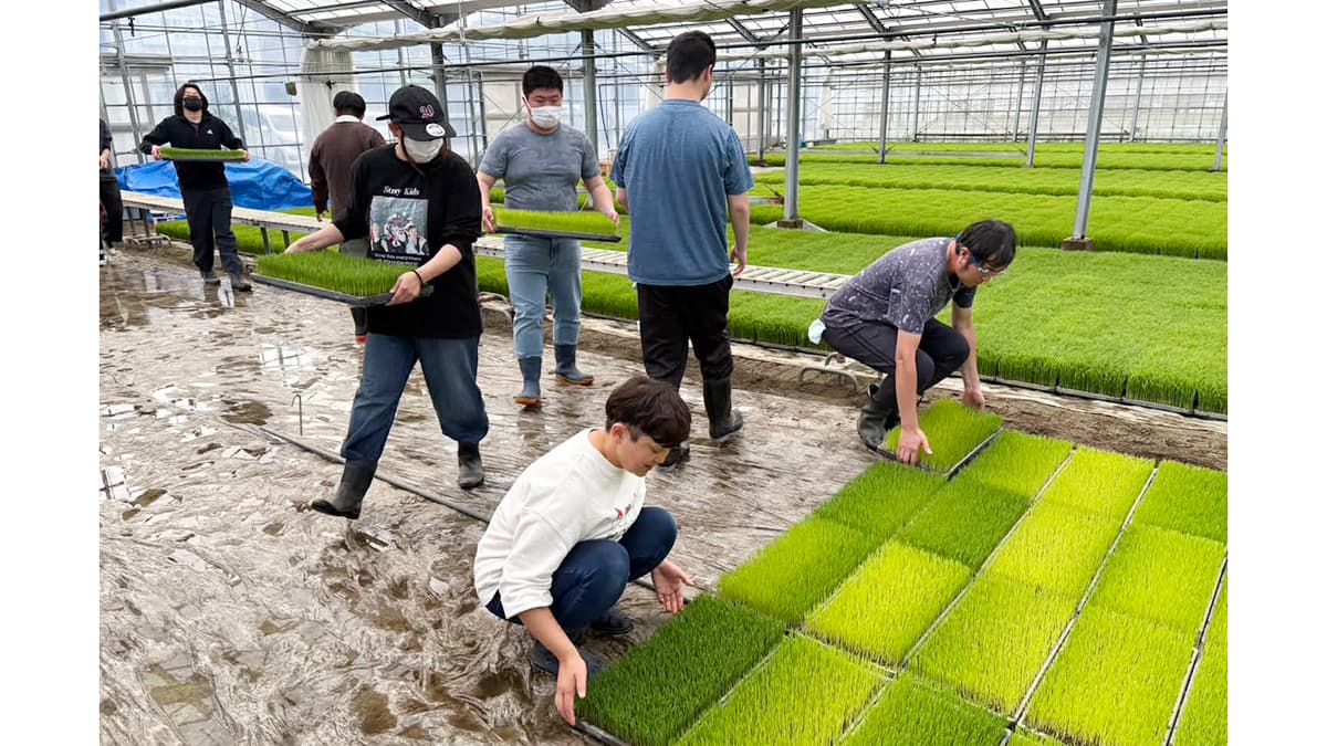 農福連携　ＪＡきみつから令和8年産水稲育苗の業務を受託　AlonAlon