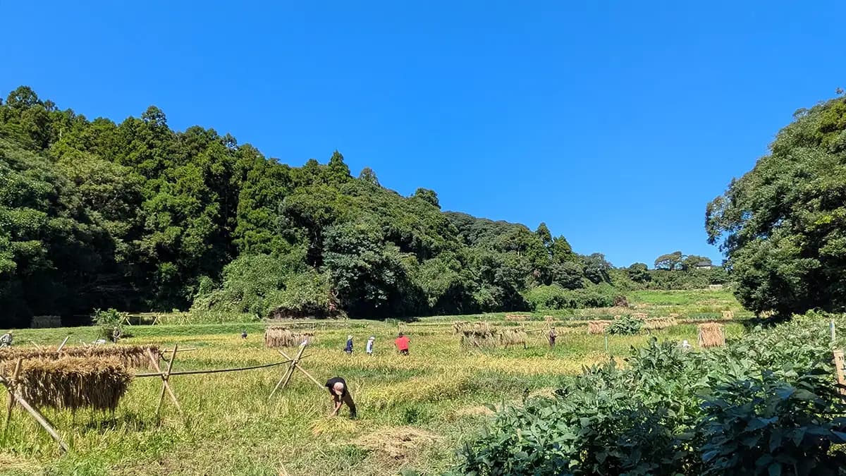 「誰が悪い？」でなく「みんなの問題」として　農と食の民主主義実現へ、ＰＡＲＣが講座