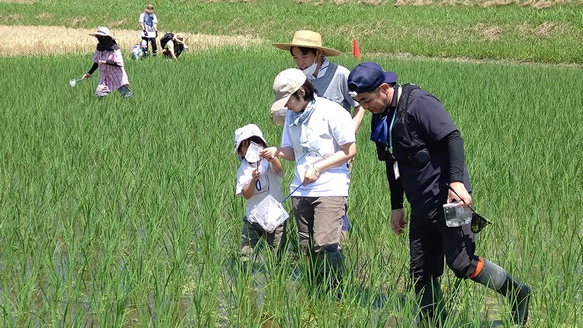 北杜市の田んぼで生き物調査　子どもたちと感じる生物多様性　パルシステム山梨 長野