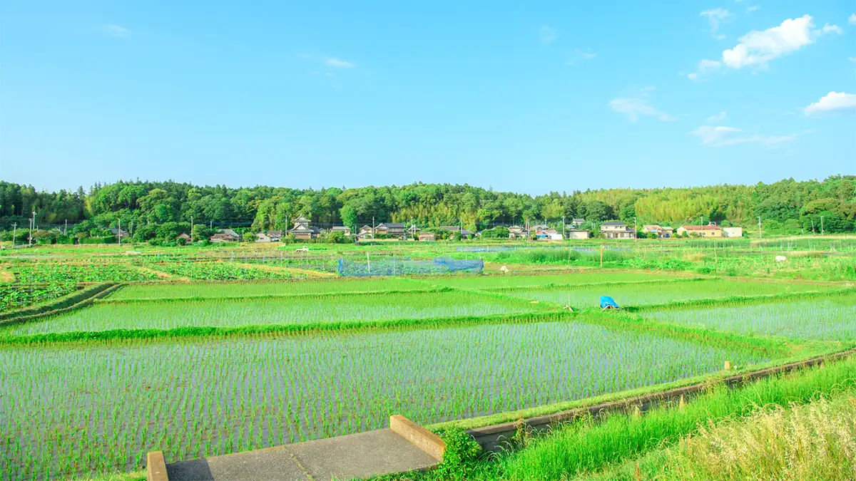 「ＪＡグループ茨城の挑戦　持続可能な農業と豊かな地域づくりをめざして」特集にあたって
