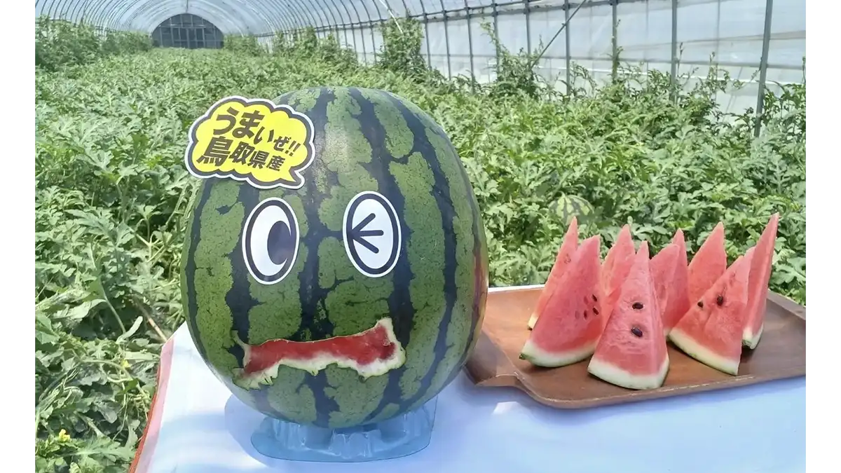 とっとり・おかやま新橋館で「鳥取すいかフェア」開催　鳥取県