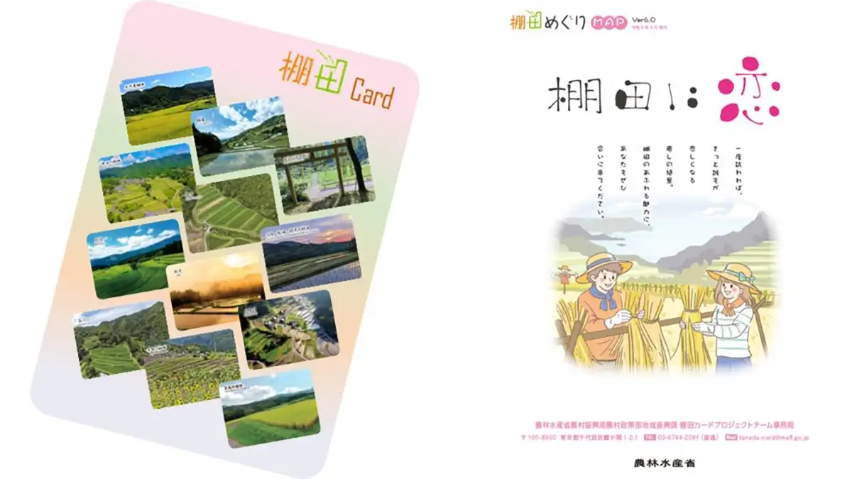 棚田の魅力が1枚に「棚田カード」第6弾を発行　農水省