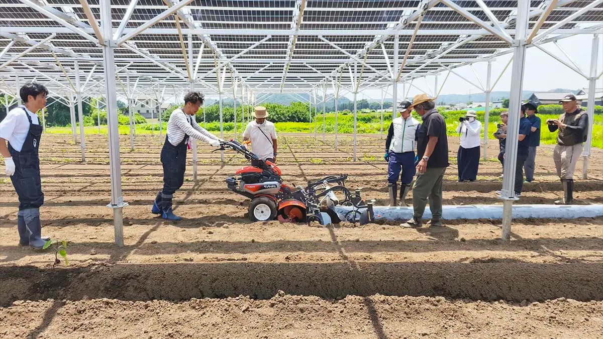 電気も野菜も地産地消　ＪＡが支える水戸ホーリーホックのソーラーシェアリング