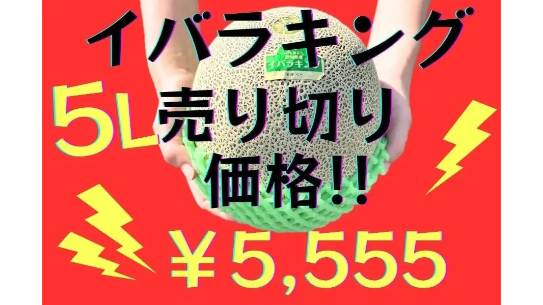茨城県産メロン「イバラキング」5L　今シーズン最終価格で販売中　ＪＡタウン