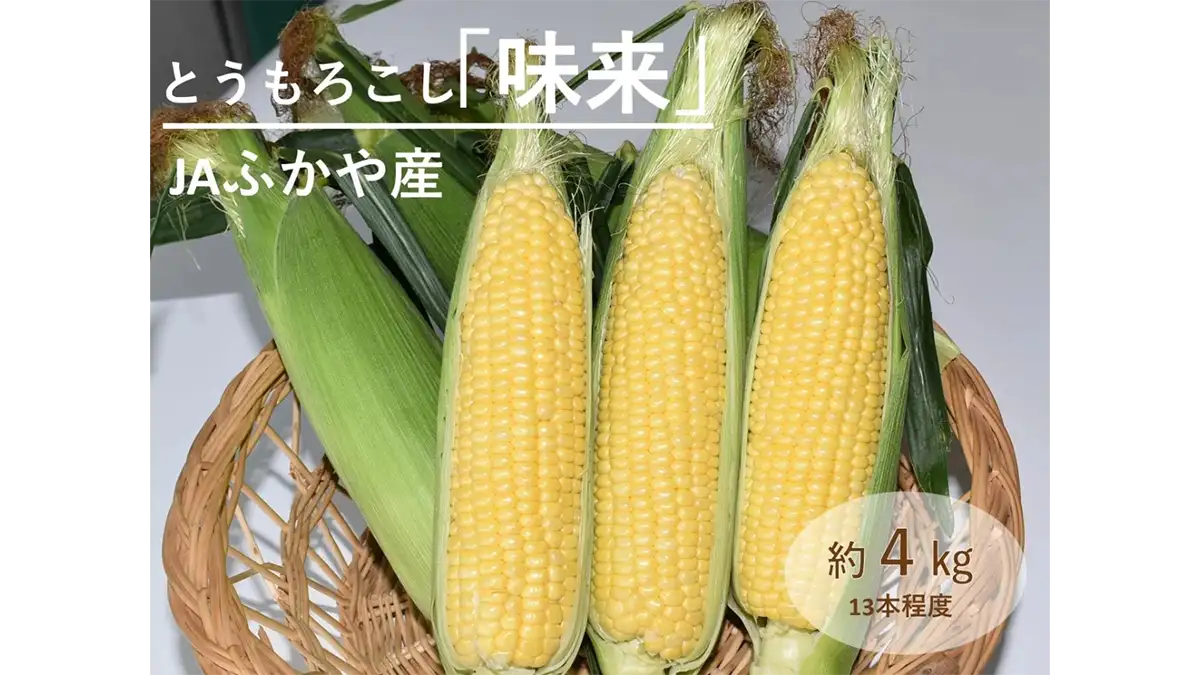 甘み際立つ埼玉県産とうもろこし「味来」予約販売中　ＪＡタウン