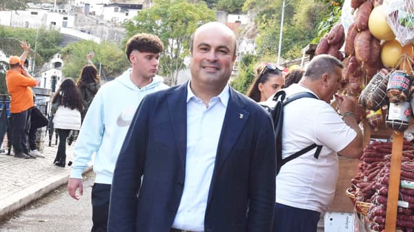 オリーブと広島【イタリア通信】