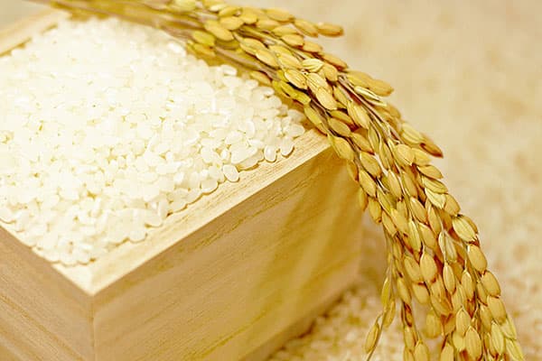 【熊野孝文・米マーケット情報】輸出拡大と国産米需要拡大をイコールにする方策とは？