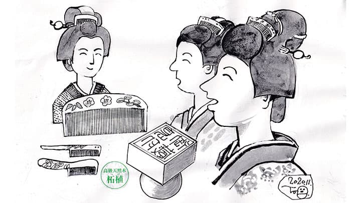 島の宝で自治を獲得　奥山交竹院【童門冬二・小説 決断の時―歴史に学ぶ―】