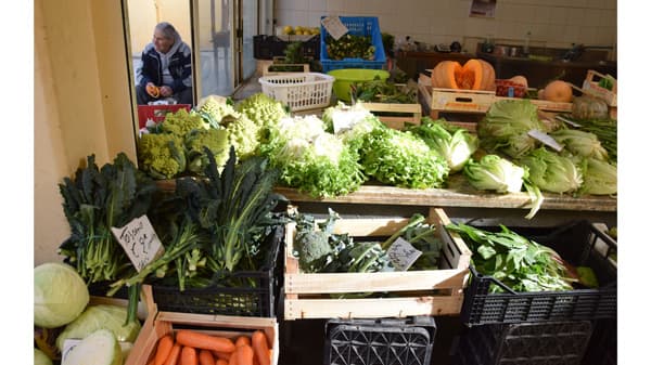 メルカート・リオナーレ【イタリア通信】