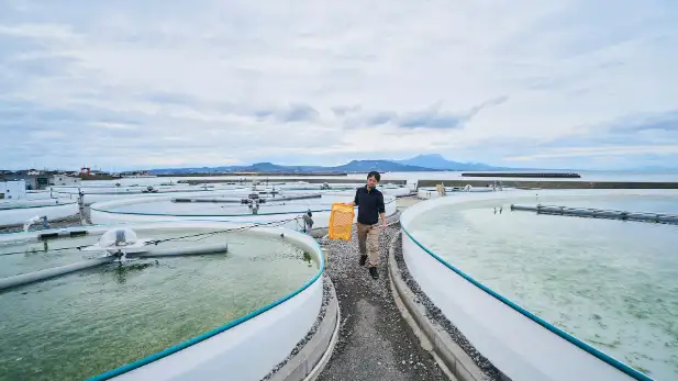 能登半島地震支援で海藻栽培の取り組み開始　シーベジタブルと連携　グリーンコープ共同体