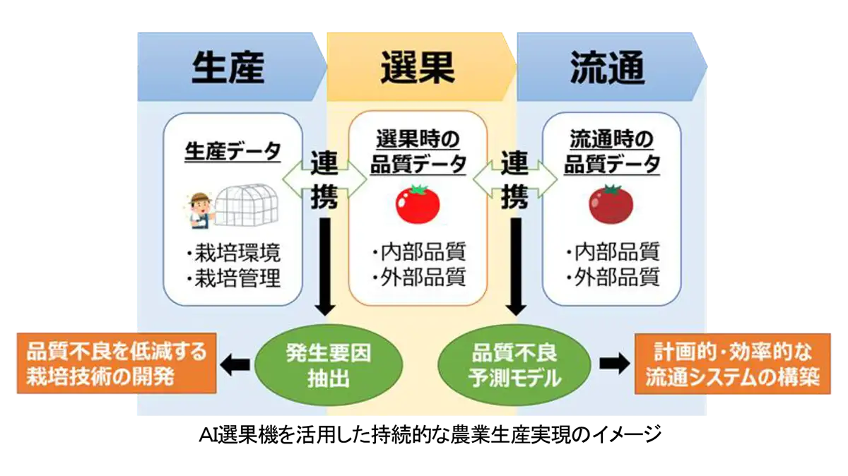 AIでトマトの品質を判定　選果機を共同開発　栽培・流通データとの連携で不良果・廃棄ロス低減を実証