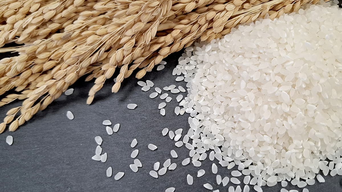 中食・外食向けの米　販売割合4割  米マンスリーレポート