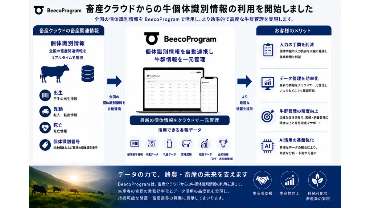 牛個体識別情報を提供開始　BeecoProgram