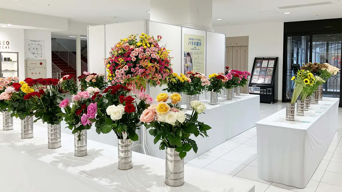 父の日にバラを　大丸下関店で展示・イベント開催　山口県花卉園芸農業協同組合下関バラ部会