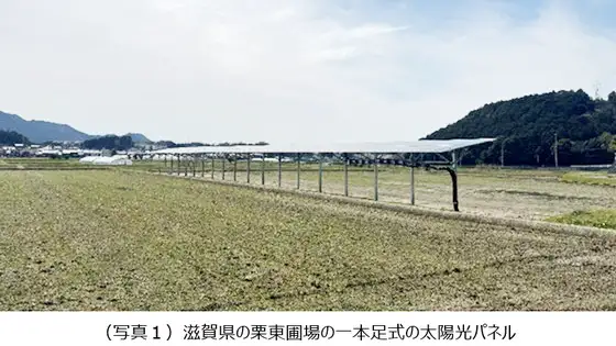 営農型太陽光発電と環境再生型農業の水稲播種作業を公開　バイオスティミュラントと蜜苗を組み合わせ　ヤンマー