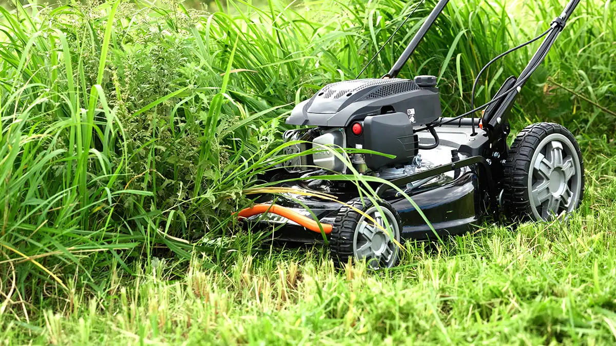 自走式エンジン草芝刈機「EFB-53D」が進化　2026年モデル登場　工進