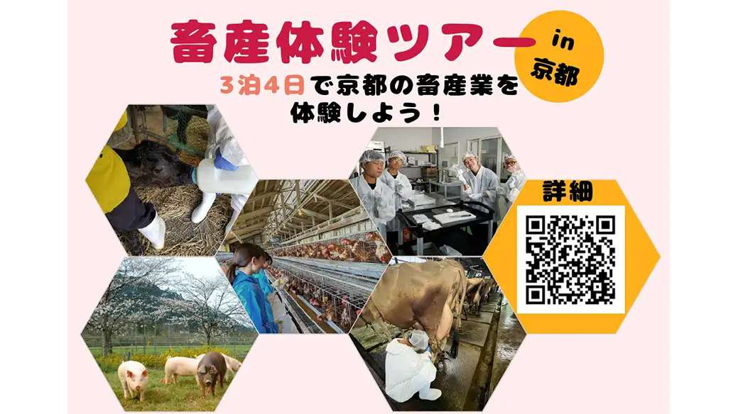 3泊4日の「畜産体験ツアー」開催　現場作業から加工体験まで　京都府