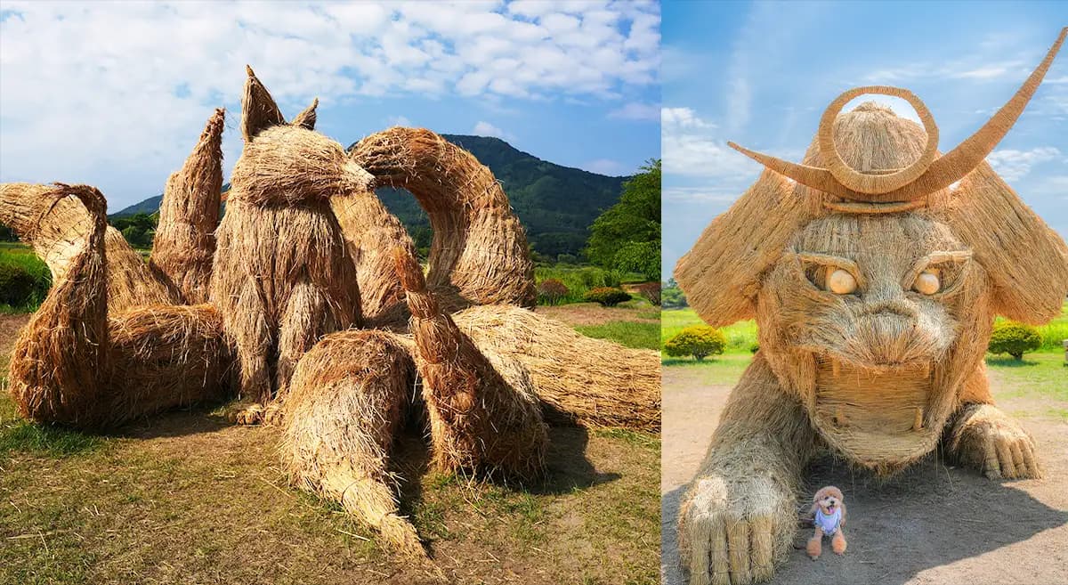 大迫力のアート「わらアート」制作　協力サポーターを募集　新潟市西蒲区役所