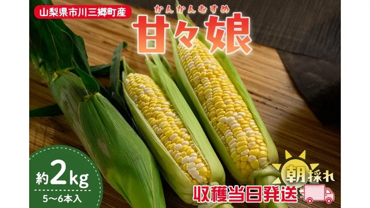 糖度15度以上の希少品種　山梨県産とうもろこし「甘々娘」予約販売中　ＪＡタウン