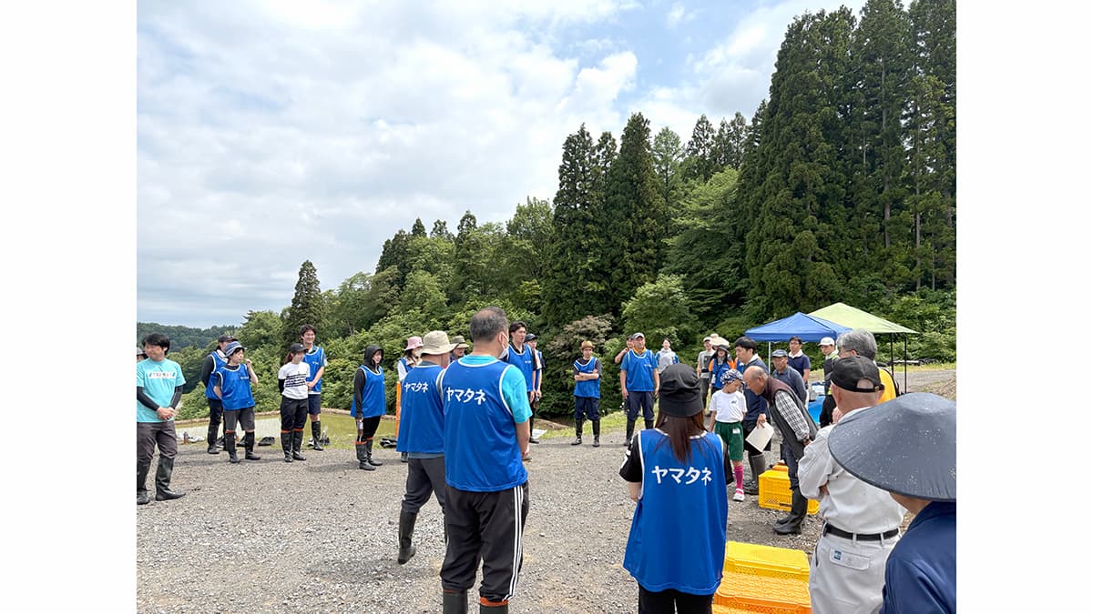 新潟県「棚田みらい応援団」活動に参加　棚田の保全・維持管理に協力　ヤマタネ