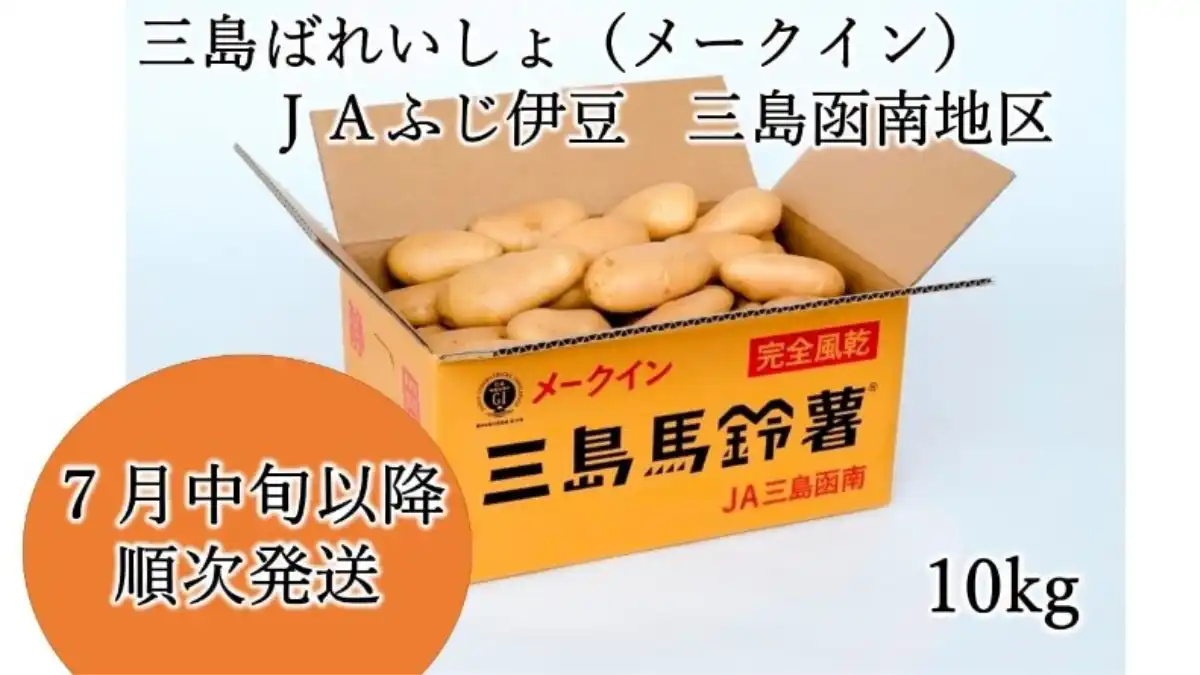 甘みとほくほく感　箱根西麓三島野菜「三島馬鈴薯」販売開始　ＪＡタウン