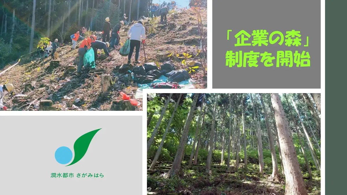 森林づくりをサポート「企業の森」参加企業等募集　神奈川県相模原市