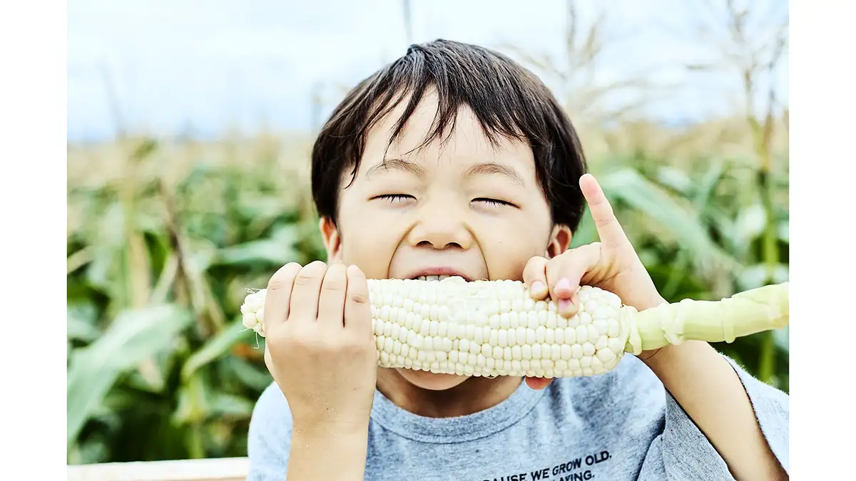 「とうもろこし収穫イベント」高輪ゲートウェイで開催　AGRIKO