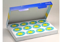 〔207〕はっさくゼリー