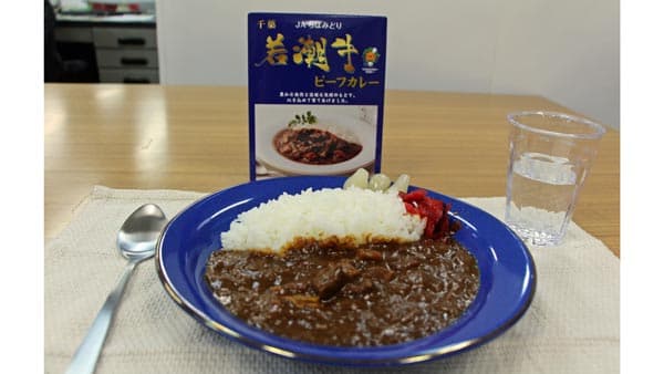 〔319〕若潮牛ビーフカレー　ＪＡちばみどり（千葉県）【一品厳選】