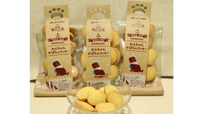 〔342〕わんちゃんかぼちゃクッキー　ＪＡよこすか葉山（神奈川県）【一品厳選】
