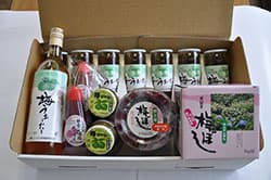 〔175〕「越乃梅」加工品
