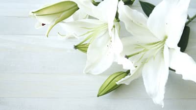 【訃報】佐藤喜作氏が逝去　農協協会前会長